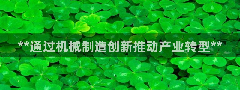 彩神网官网登录：**通过机械制造创新推动产业转型**