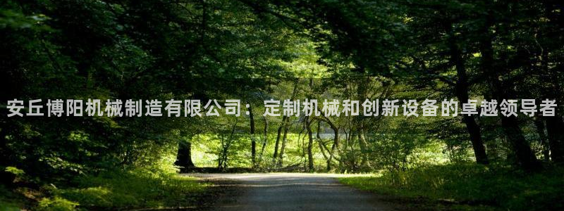 彩神网能赚钱是怎么回事：安丘博阳机械制造有限公司：定制机械和