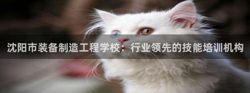 彩神x平台靠什么盈利：沈阳市装备制造工程学校：行业领先的技能培训机构