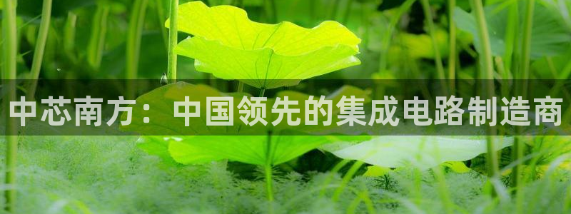 彩神vllⅰ购彩大厅：中芯南方：中国领先的集成电路制造商