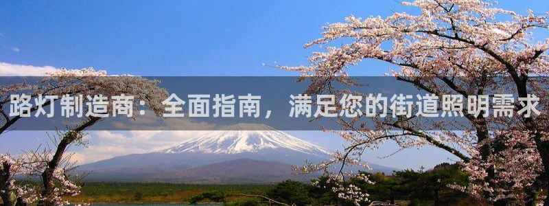 大发彩神最高邀请码：路灯制造商：全面指南，满足您的街道照明需求