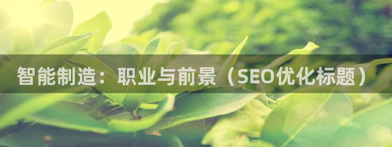 彩神争霸官方下载：智能制造：职业与前景（SEO优化标题）