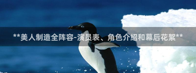 彩神v秘聊号码：**美人制造全阵容-演员表、角色介绍和幕后花絮**