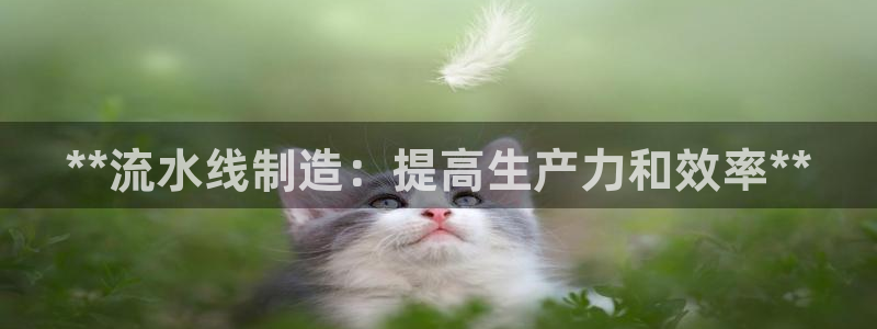 彩神viii是正规平台吗?：**流水线制造：提高生产力和效率**