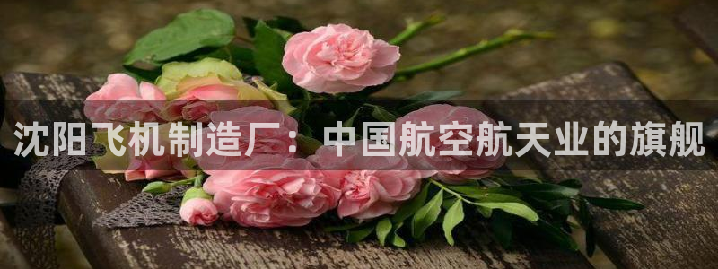 有谁知道彩神争霸的网址：沈阳飞机制造厂：中国航空航天业的旗舰