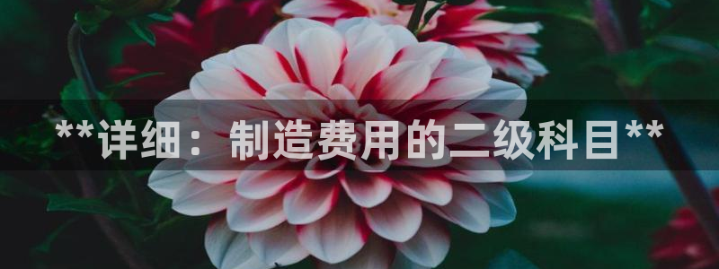 彩神是真的吗：**详细：制造费用的二级科目**