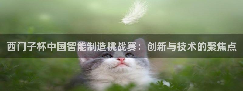 彩神赢钱了吗：西门子杯中国智能制造挑战赛：创新与技术的聚焦点