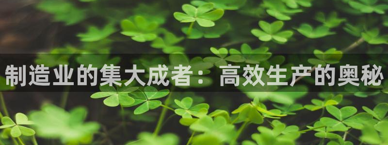 彩神平台注册登录：制造业的集大成者：高效生产的奥秘