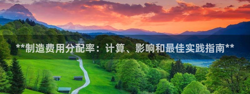 彩神v8iii：**制造费用分配率：计算、影响和最佳实践指南**