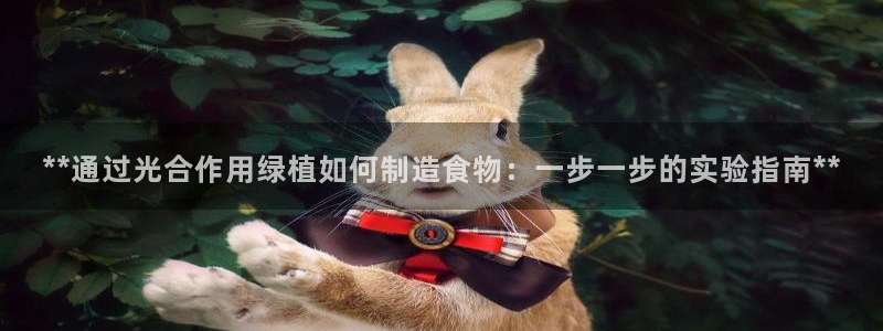 彩神ix平台：**通过光合作用绿植如何制造食物：一步一步的实验指南**