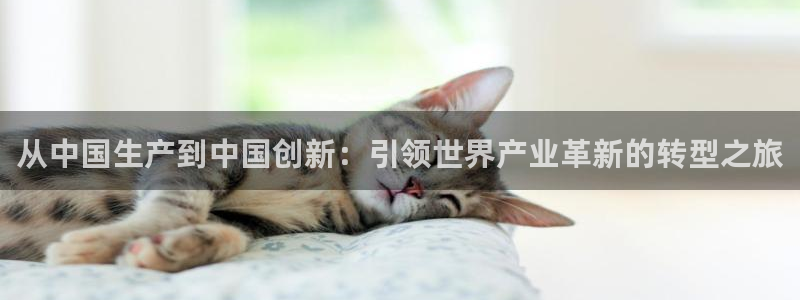 彩神购彩购彩大厅入口v：从中国生产到中国创新：引领世界产业革新的转型之旅