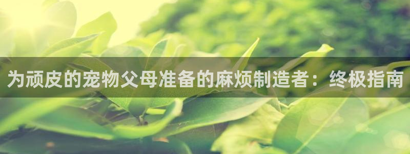 彩神ix官网：为顽皮的宠物父母准备的麻烦制造者：终极指南