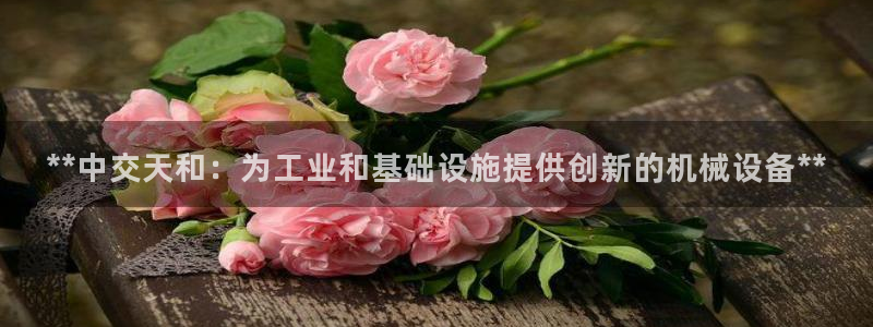 彩神v8客户端：**中交天和：为工业和基础设施提供创新的机械