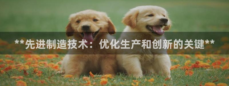 彩神输的钱是赌博还是诈骗：**先进制造技术：优化生产和创新的关键**