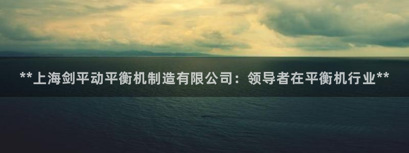 彩神平台可以破解吗：**上海剑平动平衡机制造有限公司：领导者在平衡机行业**