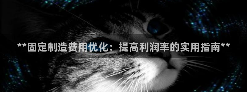 彩神争霸官网登录平台：**固定制造费用优化：提高利润率的实用指南**