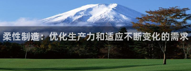 彩神iv争霸购彩大厅：柔性制造：优化生产力和适应不断变化的需求