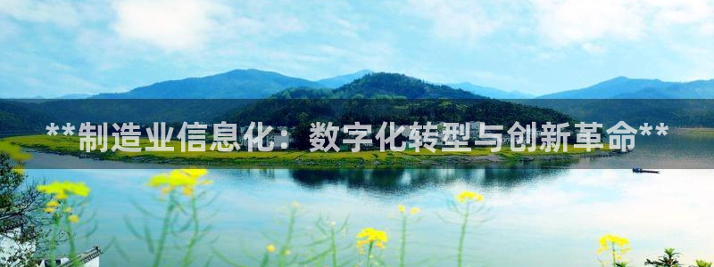 彩神vllⅰ购彩大厅：**制造业信息化：数字化转型与创新革命**