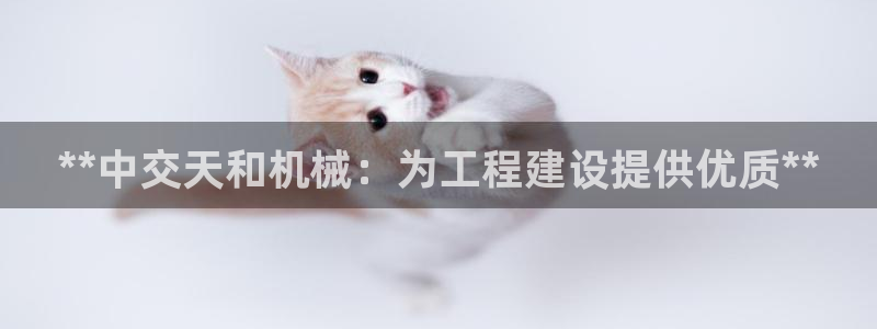 彩神v8iii：**中交天和机械：为工程建设提供优质**