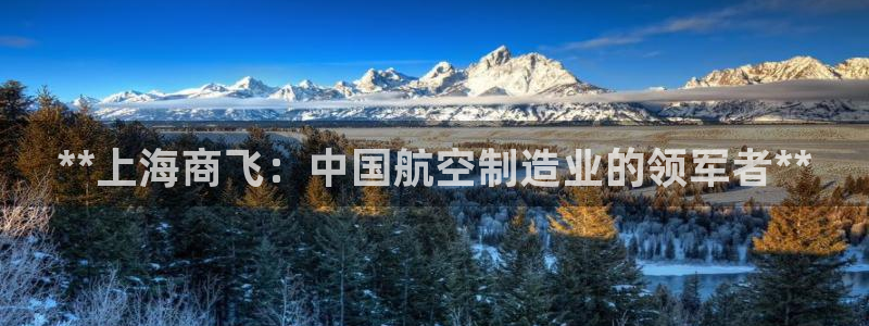 下载彩神通关注码：**上海商飞：中国航空制造业的领军者**