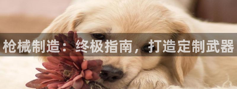 彩神平台注册登录：枪械制造：终极指南，打造定制武器