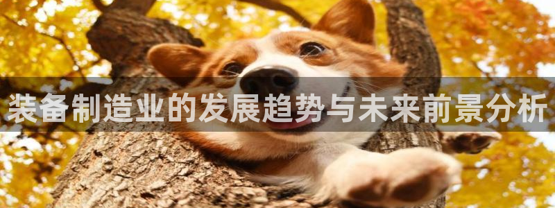 彩神这个平台是真的吗：装备制造业的发展趋势与未来前景分析
