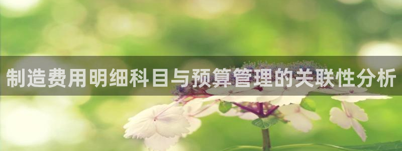 彩神赢了钱登录不上去：制造费用明细科目与预算管理的关联性分析