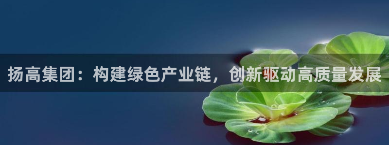 彩神x平台靠什么盈利：扬高集团：构建绿色产业链，创新驱动高质量发展