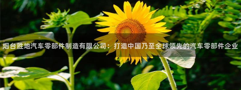 彩神vii手游下载：烟台胜地汽车零部件制造有限公司：打造中国乃至全球领先的汽车零部件企业