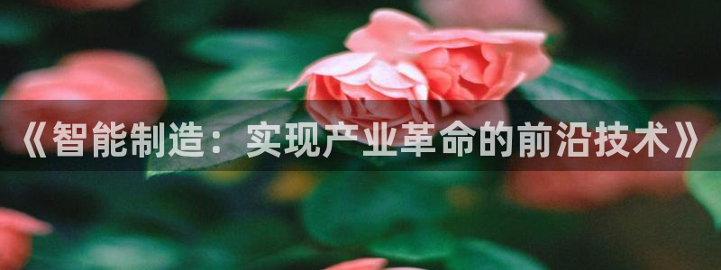 彩神平台：《智能制造：实现产业革命的前沿技术》