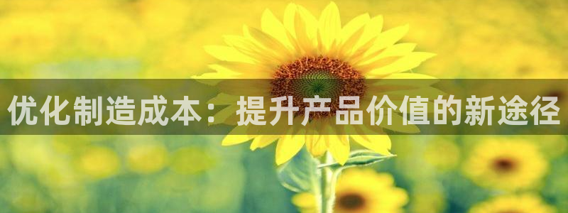 彩神是什么平台：优化制造成本：提升产品价值的新途径