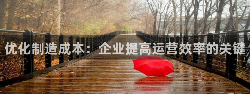 彩神v8是一个什么平台啊：优化制造成本：企业提高运营效率的关
