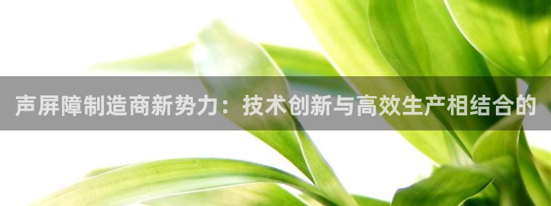 下载彩神通关注金码：声屏障制造商新势力：技术创新与高效生产相结合的