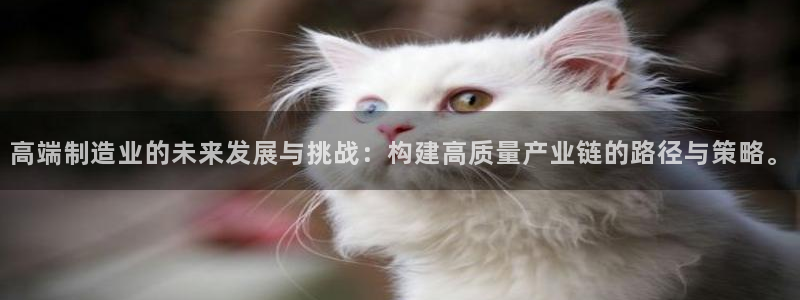 彩神v大众娱乐：高端制造业的未来发展与挑战：构建高质量产业链的路径与策略。