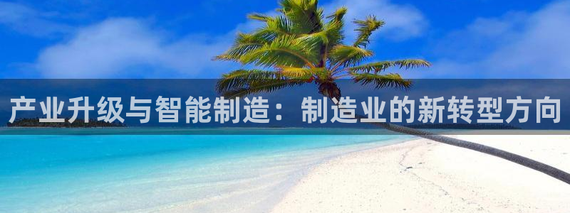彩神vl购彩大厅：产业升级与智能制造：制造业的新转型方向