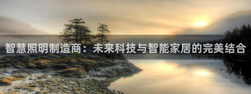 彩神v8几个版本：智慧照明制造商：未来科技与智能家居的完美结合