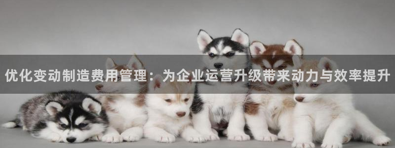 天天赢彩神：优化变动制造费用管理：为企业运营升级带来动力与效率提升