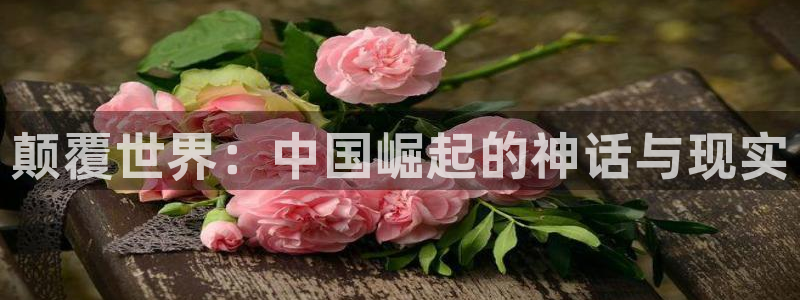彩神网合法吗：颠覆世界：中国崛起的神话与现实