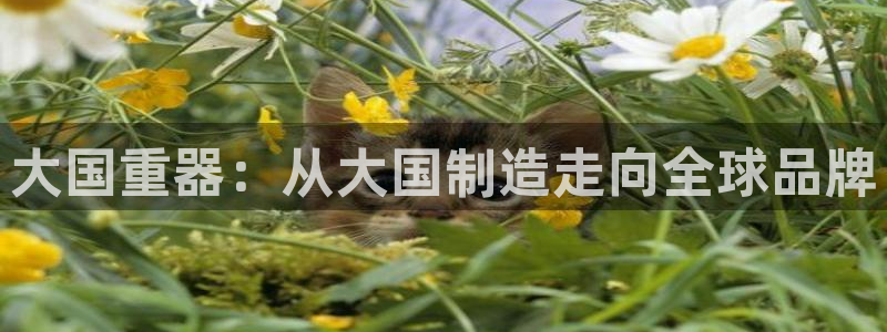 下载彩神通关注码：大国重器：从大国制造走向全球品牌