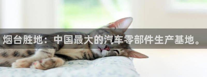 彩神通官方网