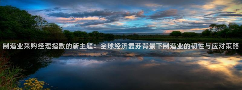 彩神v违法么：制造业采购经理指数的新主题：全球经济复苏背景下制造业的韧性与应对策略