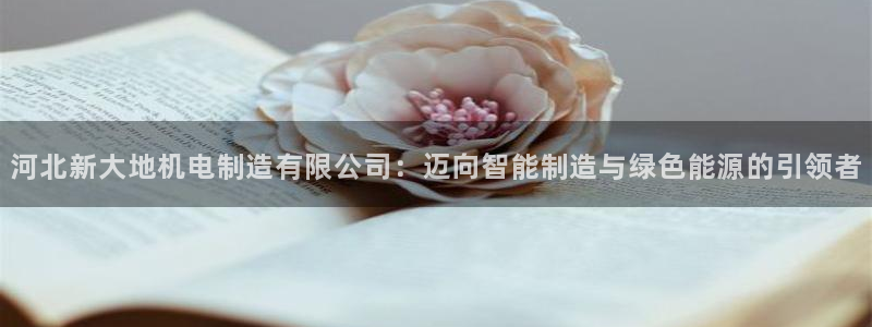彩神系列平台：河北新大地机电制造有限公司：迈向智能制造与绿色能源的引领者