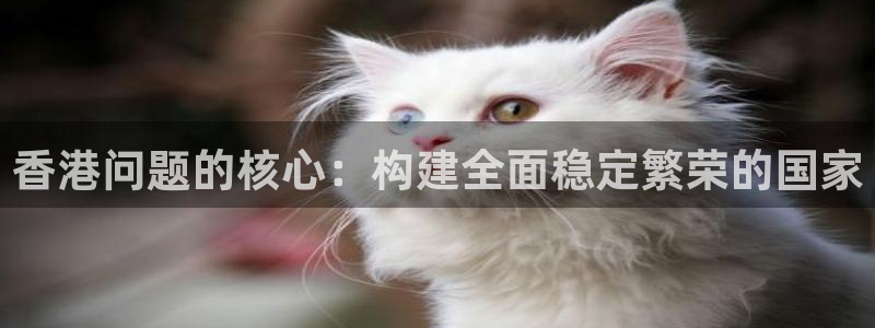 彩神vip官方网站