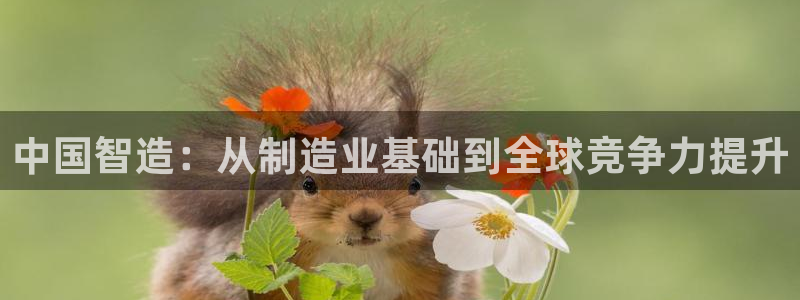 彩神vll首页：中国智造：从制造业基础到全球竞争力提升