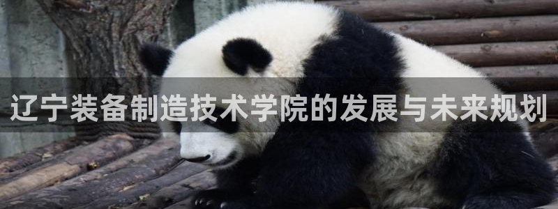 彩神8是正规平台吗安全吗