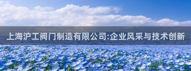 彩神v彩搜狗：上海沪工阀门制造有限公司:企业风采与技术创新