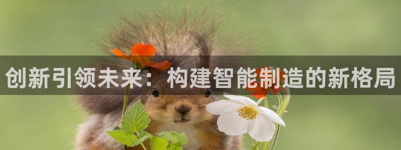 彩神旗下有哪些平台可以看