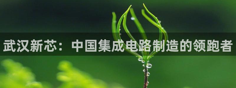 彩神是什么平台的游戏：武汉新芯：中国集成电路制造的领跑者