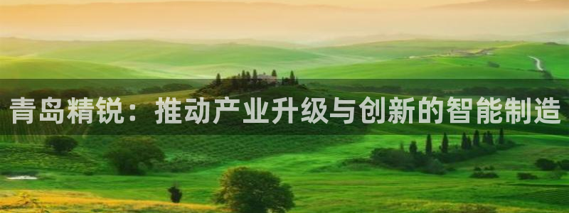 彩神网合法吗：青岛精锐：推动产业升级与创新的智能制造