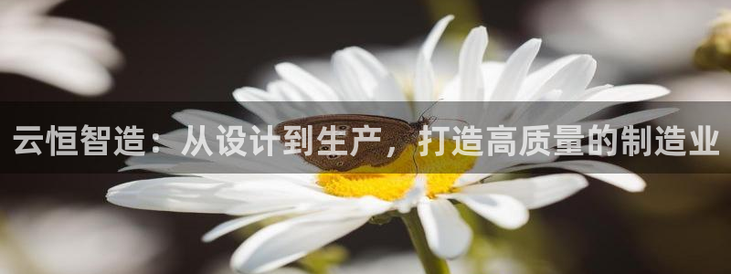 彩神v8是一个什么平台游戏：云恒智造：从设计到生产，打造高质量的制造业